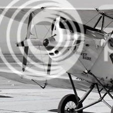 81" De Havilland DH.60GM Metal Moth Scalloped Scimitar Wooden Airplane Propeller