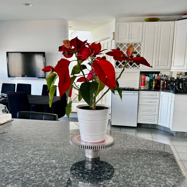 Multifunctional GE J85 Northrop T-38 Talon Jet Engine Turbine Disk Candle Centerpiece Plant Stand