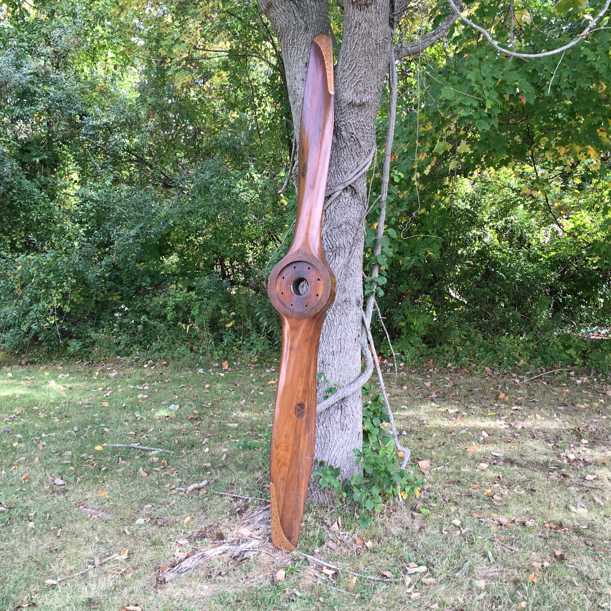 Paragon Curtiss H16 US NAVY WW1 Wood Airplane Propeller | Aviation