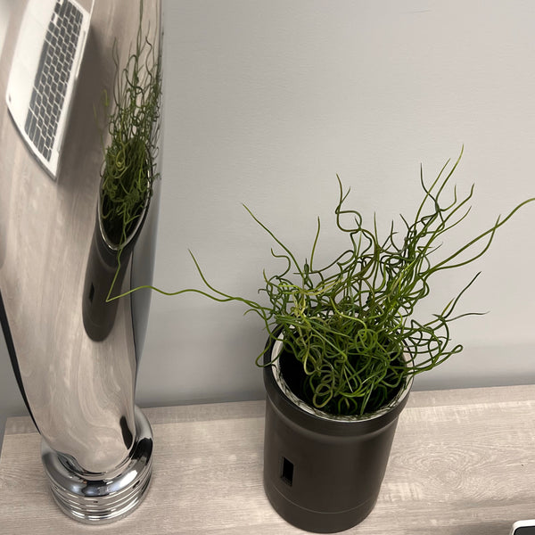 The Propsicle Modern Aviation Art CESSNA 402 Mirror Polished Chrome Airplane Propeller Blade Sculpture ( McCauley )