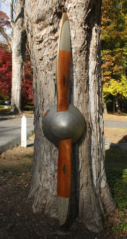 Sensenich 90HSP90 PT-22 Ryan w/ Spinner